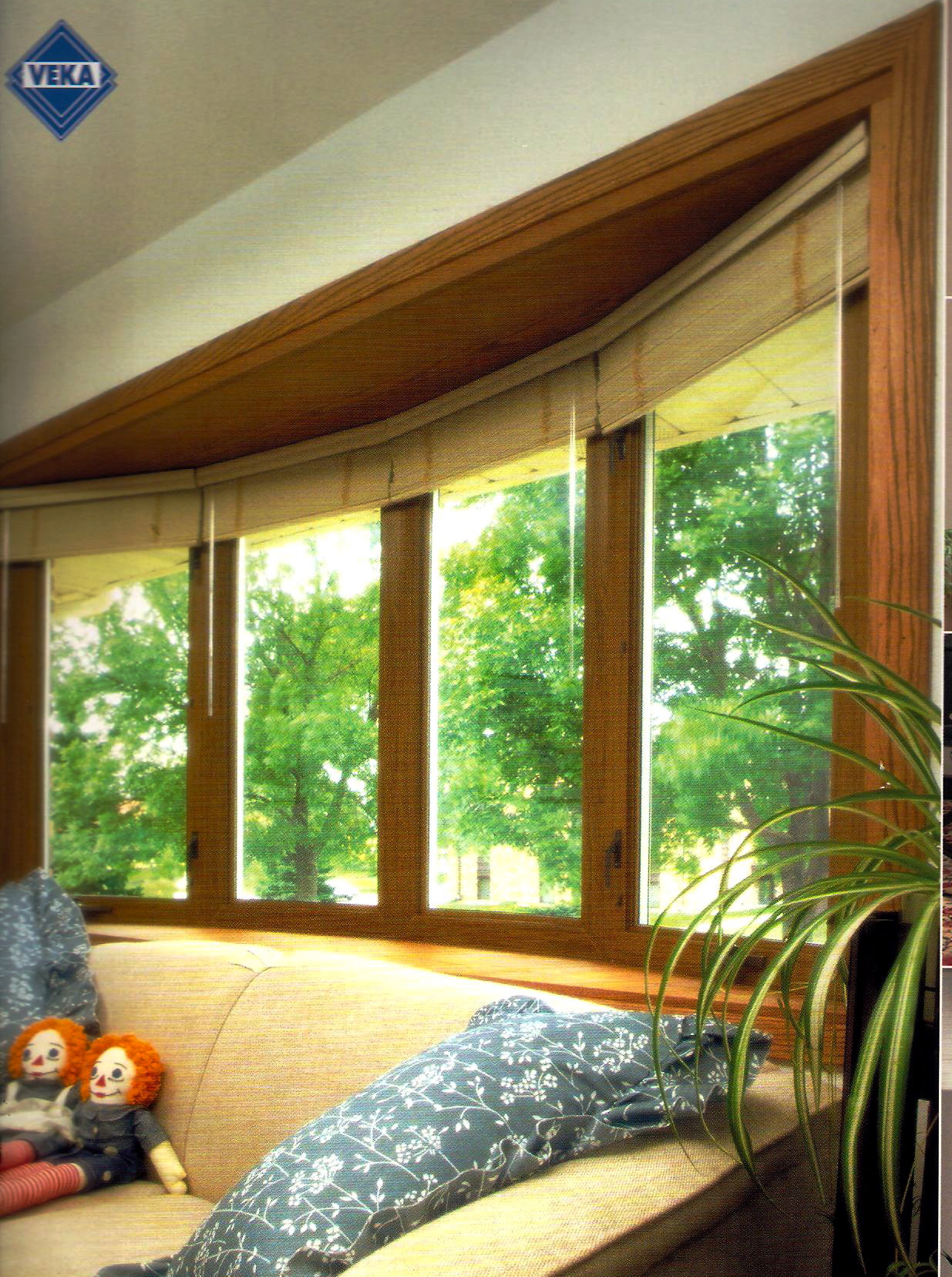 goldenoak
